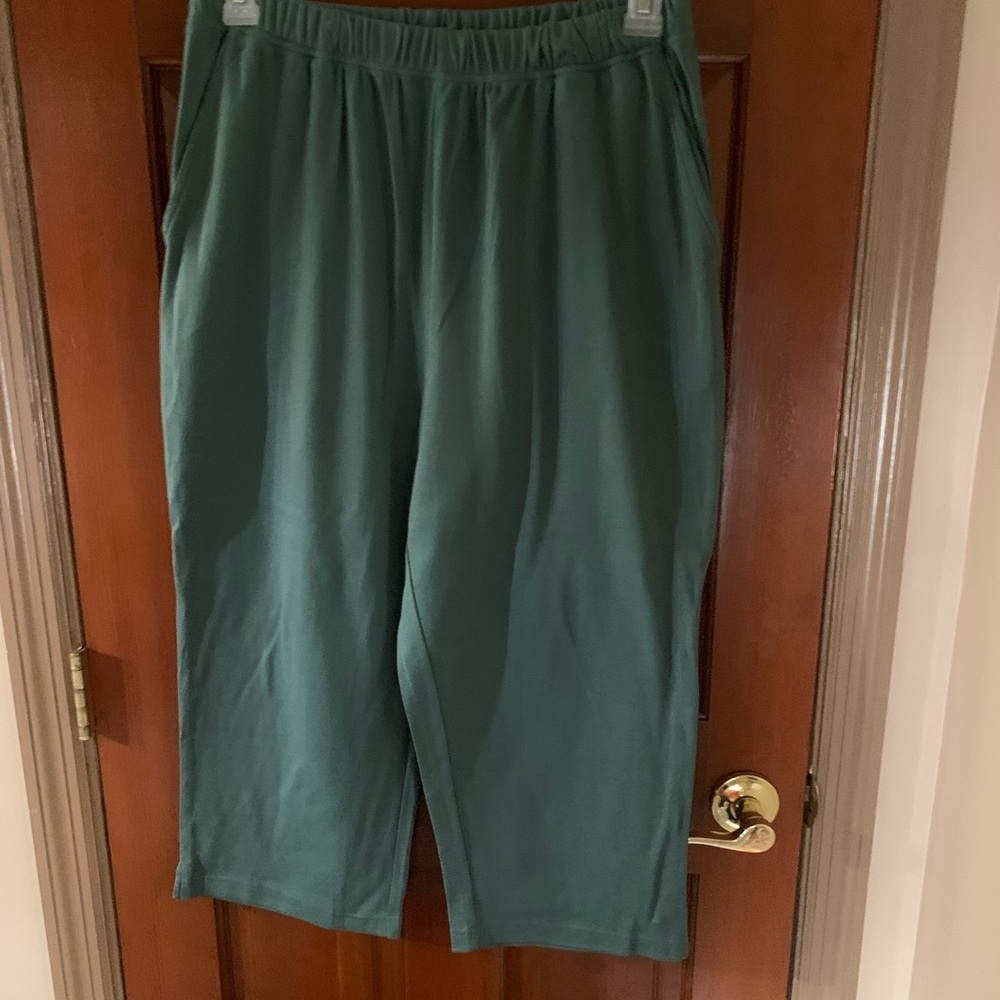 New Woman Within Capri pants
